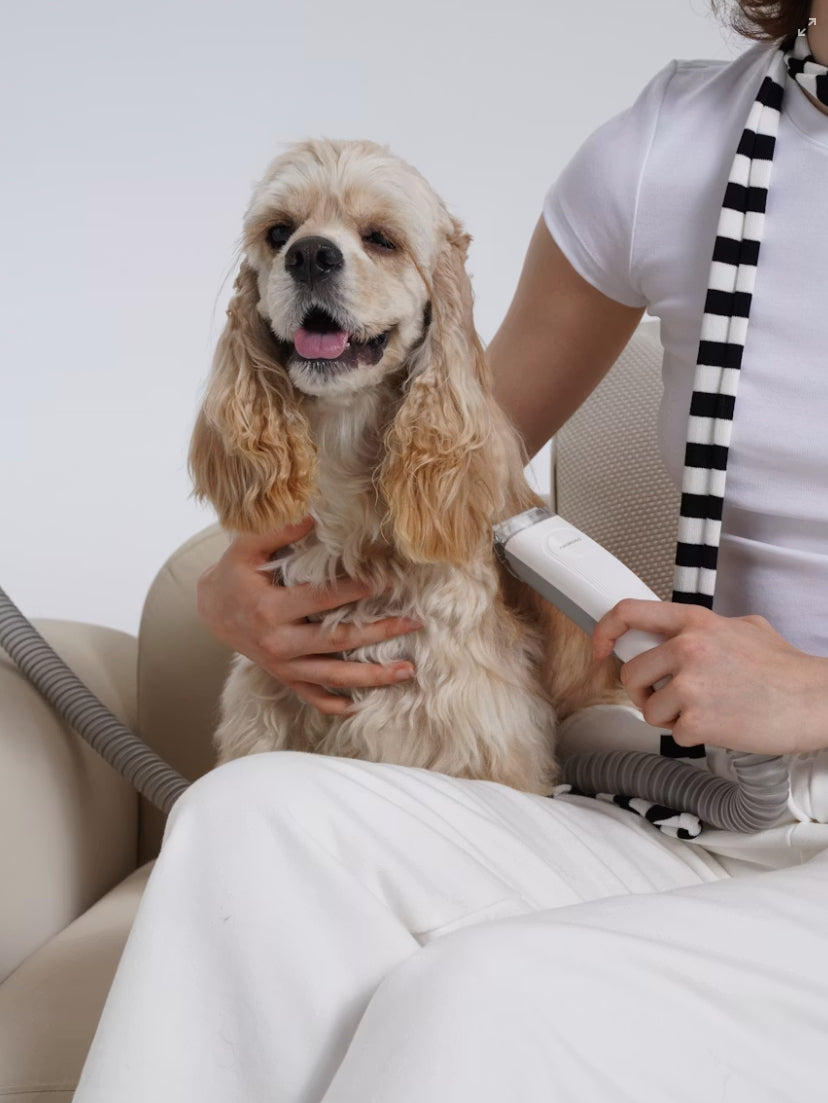 Dog Grooming Vacuum Systems: What to Consider When Choosing a Grooming Vacuum and Dryer