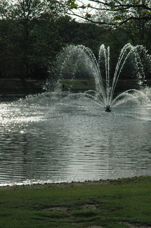 Replacement Fountain Pumps: What to Check Before Buying One
