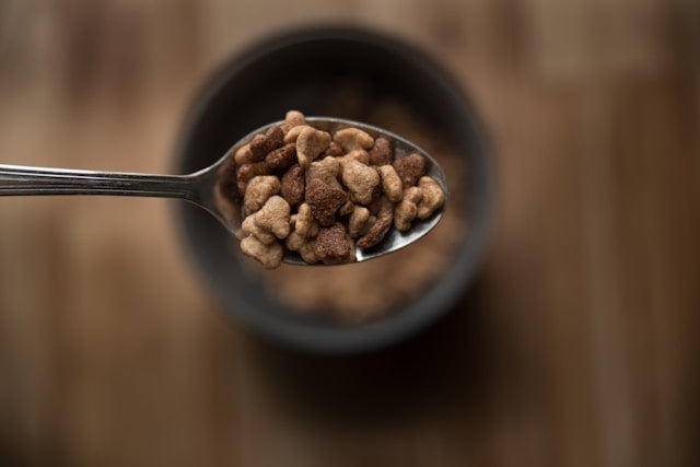 Stainless Steel vs Melamine Pet Food Scoops: Which Style Fits Your Routine?