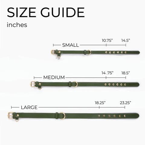 Two Tails Pet Company Cactus Vegan Leather Dog Collar, Adjustable Pet Collar With Gold Hardware and D Rings for Leash and ID Tag for Dogs and Puppies, Easy to Clean & Eco Friendly, Caramel, Size Large