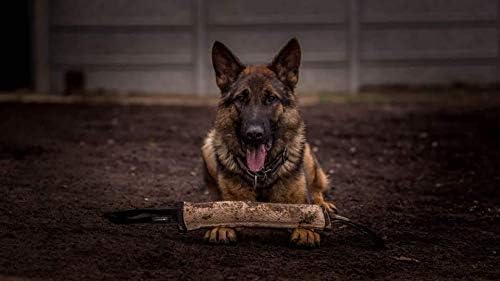 Dingo Gear, Natural Jute tug Toy for Dog Training Agility tug of war, Bumper Toy Dog bite, 2 Handles 11" S00146