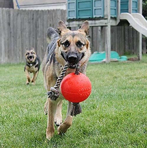 Jolly Pets Romp-n-Roll Dog Toy, Orange, 6", Model Number: 788169060645
