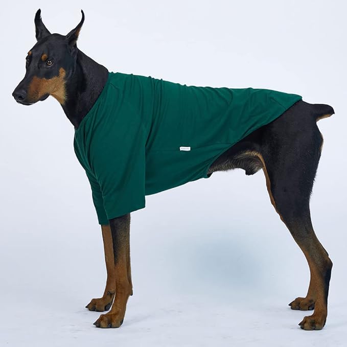 Dog Shirt for Small Dogs Plain T-Shirts Soft Breathable Dog Cotton Shirt pet Clothes (X-Large, Green)