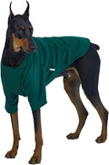 Dog Shirt for Small Dogs Plain T-Shirts Soft Breathable Dog Cotton Shirt pet Clothes (X-Large, Green)
