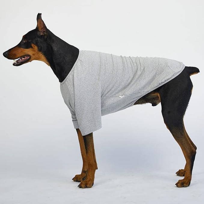 Dog Shirt for Small Dogs Plain T-Shirts Soft Breathable Dog Cotton Shirt pet Clothes (5X-Large, Gray)