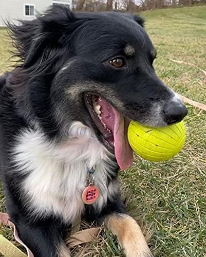 Chew King Supreme Rubber Fetch Balls - Extremely Durable Natural Rubber Toy, 2.5 inch, Yellow (CM-10066-CS01)