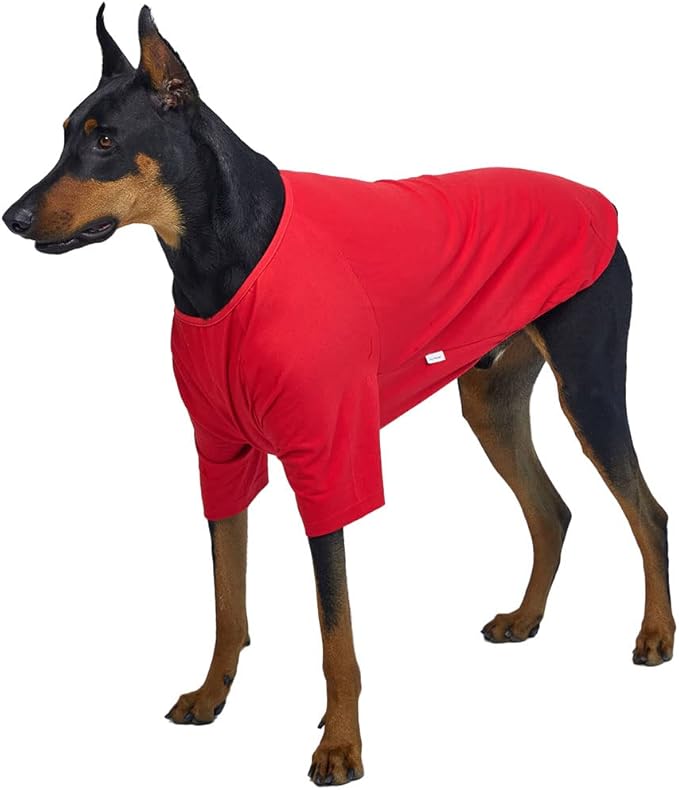 Dog Shirt for Small Dogs Plain T-Shirts Soft Breathable Dog Cotton Shirt pet Clothes (3X-Large, Red)