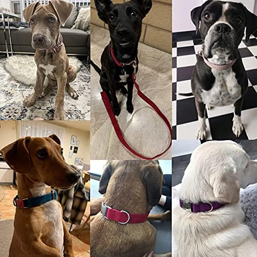 Dog Collar Custom Personalized Engraved Name and Phone Number for Puppy Small Medium Large Pets (S, Coffee)