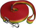 Dog/Puppy Obedience Recall Training Agility Lead - 15ft 20ft 30ft 40ft 50ft Training Leash - Great for Play, Camping, or Backyard (Rainbow, 30 Feet)