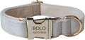 Dog Collar Custom Personalized Engraved Name and Phone Number for Puppy Small Medium Large Pets (M, Cream)