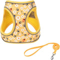 Step in Dog Harness and Leash Set, Flower Adjustable Easy Walk Puppy Harnesses, Soft Mesh Pet Vest Harness Small Size Dog Adjustable No Pull Dog Harness for Small Medium Dogs(Bee, S)