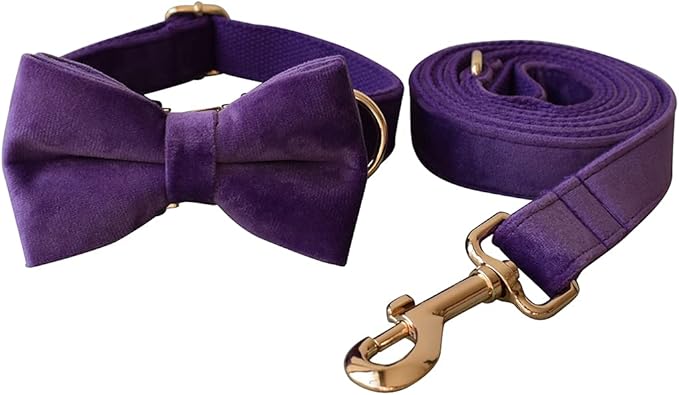 Dog Collar Custom Personalized Engraved Name and Phone Number for Puppy Small Medium Large Pets (S, Purple)