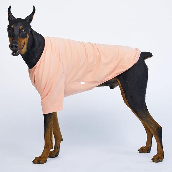 Dog Shirt for Small Dogs Plain T-Shirts Soft Breathable Dog Cotton Shirt pet Clothes (3X-Large, Peach)