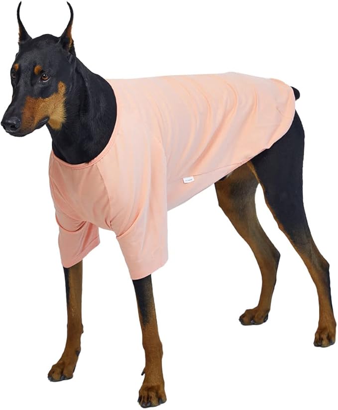 Dog Shirt for Small Dogs Plain T-Shirts Soft Breathable Dog Cotton Shirt pet Clothes (4X-Large, Peach)