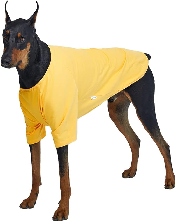 Dog Shirt for Small Dogs Plain T-Shirts Soft Breathable Dog Cotton Shirt pet Clothes (4X-Large, Yellow)
