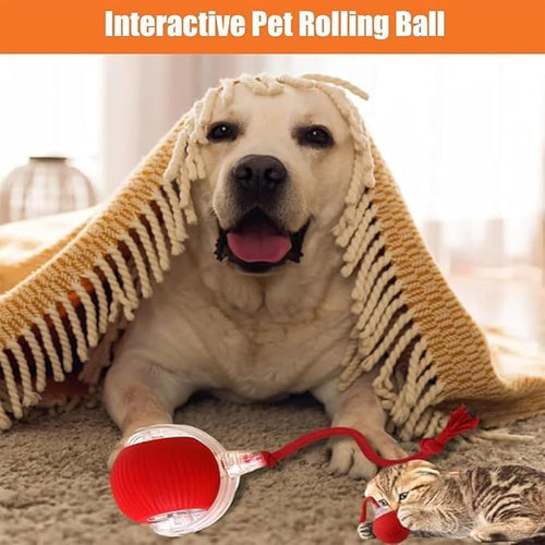 2025 New Electric Dog Ball Toy,360° Smart Automatic Interactive Rolling Dog Ball, Smart Pet Toy Ball,Interactive Toys,Gift for Kids（Yellow