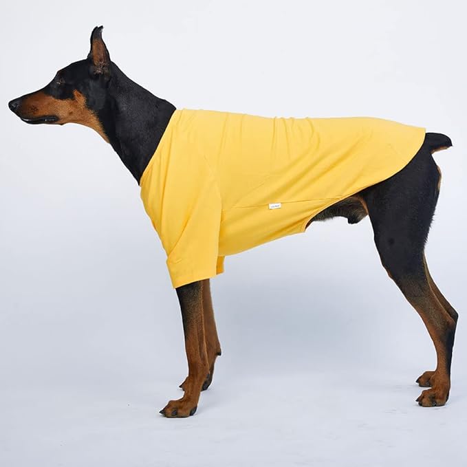 Dog Shirt for Small Dogs Plain T-Shirts Soft Breathable Dog Cotton Shirt pet Clothes (2X-Large, Yellow)