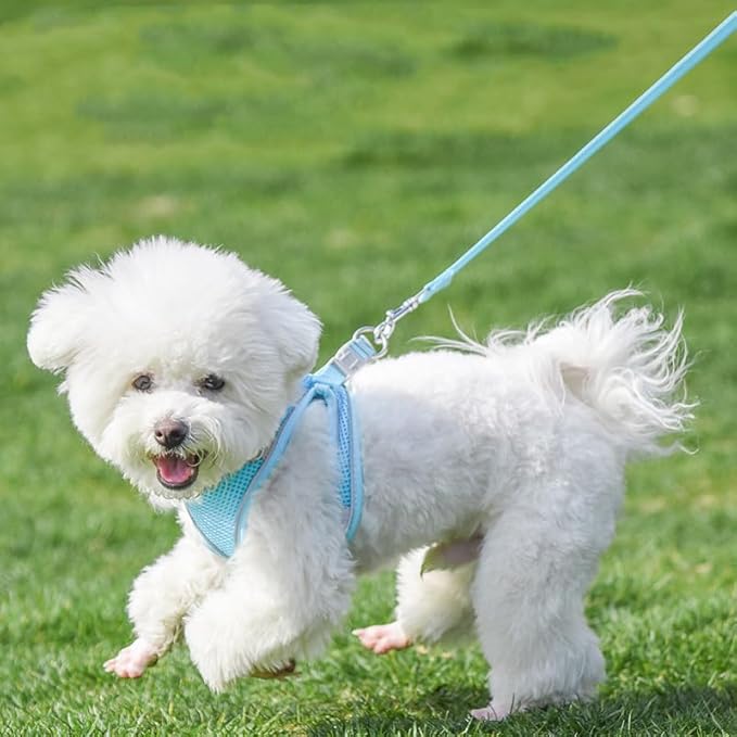 AIITLE Easy Walk Dog Harness and Leash Set - Pet Supply No Pull, Step in Adjustable Pet Harnesses with Padded Vest for Summer, No Choke Over, Easy to Put on Medium Dogs Pure Blue L