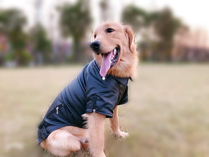Lovelonglong Cool Dog Leather Jacket, Warm Coats Dogs Windproof Cold Weather Coats for Large Medium Small Dogs, Miniature Poodle Clothing Black L
