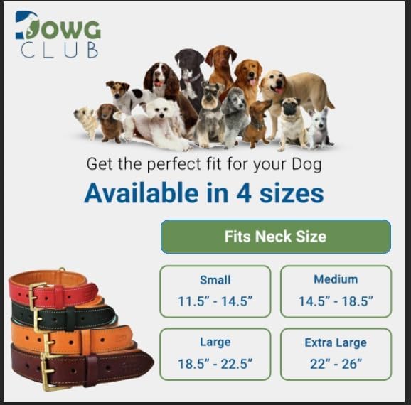 Leather Dog Collar for Medium Dogs, Orange, 1 Inch Wide, Genuine Leather, Heavy Duty with Soft Inner Padding, Comfortable and Durable (Medium (Fit Neck Size 14.5"-18.5"), Tangerine Orange)