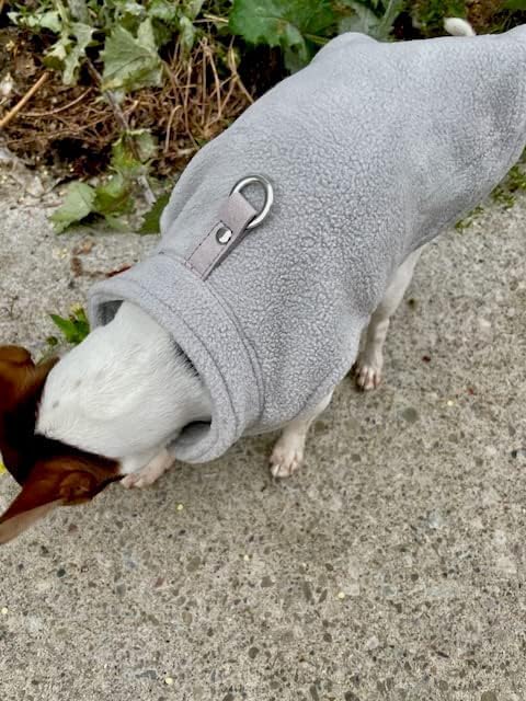 JACKO & CO - Fleece Vest Dog Sweater with Leash Ring - Soft, Warm & Lightweight Pullover Coat for Small & Medium Dogs, Puppies & Cats - Cozy Fall/Winter/Spring Pet Jacket (Grey, Medium 6-10lbs)