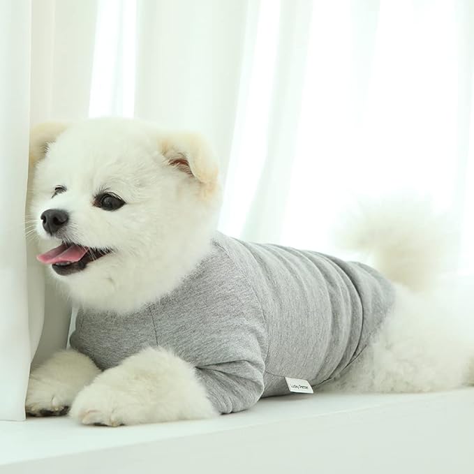 Dog Shirt for Small Dogs Plain T-Shirts Soft Breathable Dog Cotton Shirt pet Clothes (Large, Gray)
