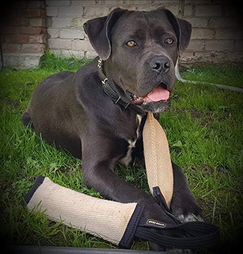 Dingo Gear Tug Toy for Dog Training Agility Tug of War, Jute Dog Bumper with one Handle, Dog Bite Pillow for Aggressive Chewers, 16" S00147