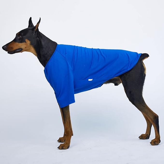 Dog Shirt for Small Dogs Plain T-Shirts Soft Breathable Dog Cotton Shirt pet Clothes (3X-Large, Blue)