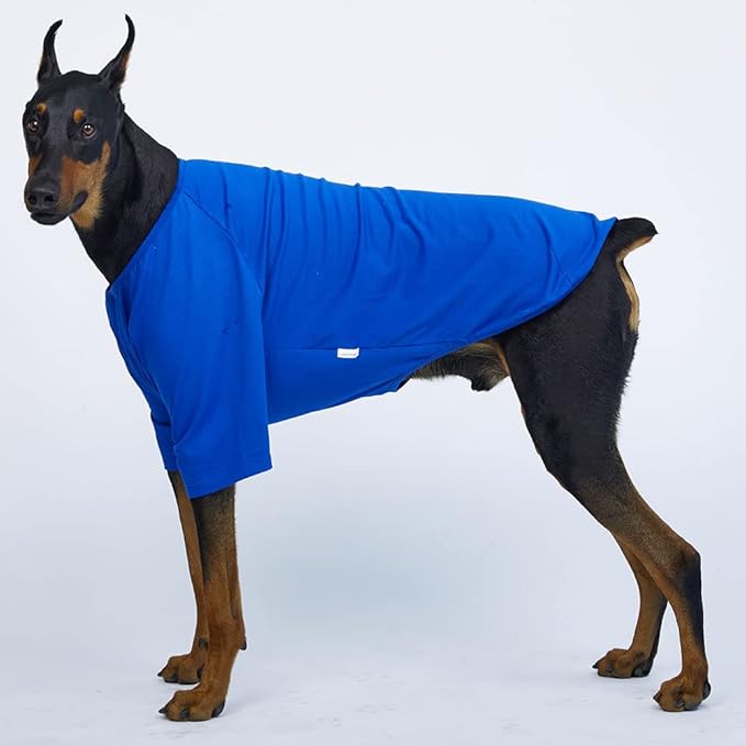 Dog Shirt for Small Dogs Plain T-Shirts Soft Breathable Dog Cotton Shirt pet Clothes (2X-Large, Blue)