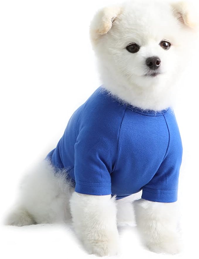 Dog Shirt for Small Dogs Plain T-Shirts Soft Breathable Dog Cotton Shirt pet Clothes (Small, Blue)