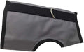 Kitty Holster Cat Harness – Secure Cat Harness for Walking, Soft Cotton Cat Accessories, Comfortable Fit, Strong Hook-and-Loop Closure, Made in USA – Gray, S/M