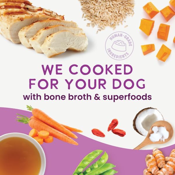 Health Extension Gently Cooked Chicken & Pumpkin Dog Food, Human-Grade & Shelf-Stable with Superfoods, Supports Digestion, Immunity, Skin & Coat, 9 oz Pouch (Pack of 1)