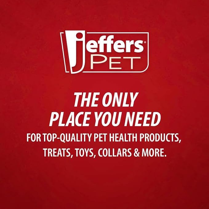 Jeffers Pet Baby Emperor Penguin Squeaker Dog Toy, 6" - Soft Plush Animal for Small Dogs & Puppies, Adorable Stuffed Friend for Indoor Play, Christmas, Halloween, Everyday Use