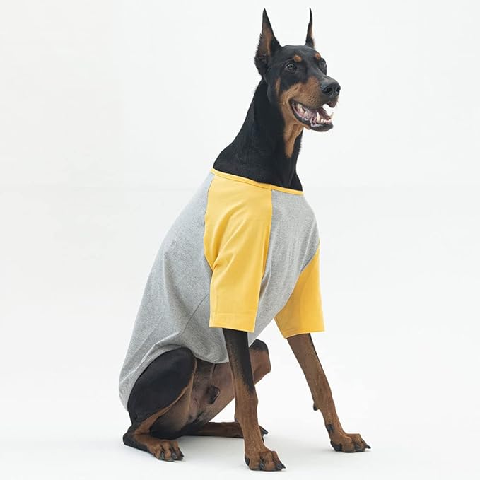 Dog Shirt for Small and Large Dogs Raglan Cotton T-Shirts Soft Breathable Dog Shirts pet Clothes Gray Series (4X-Large, Gray/Yellow)