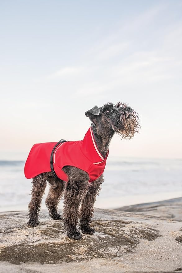 Goldpaw Rainpaw Waterproof Dog Raincoat - Durable Dog Rain Jacket for All Seasons - Easy to Wear, Adjustable, Premium Pet Outerwear - Made in The USA - Machine Washable - Black Bean - Size 8