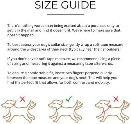 Two Tails Pet Company Cactus Vegan Leather Dog Collar, Adjustable Pet Collar with Gold Hardware and D Rings for Leash and ID Tag for Dogs and Puppies, Easy to Clean & Eco Friendly, Black, Size Medium