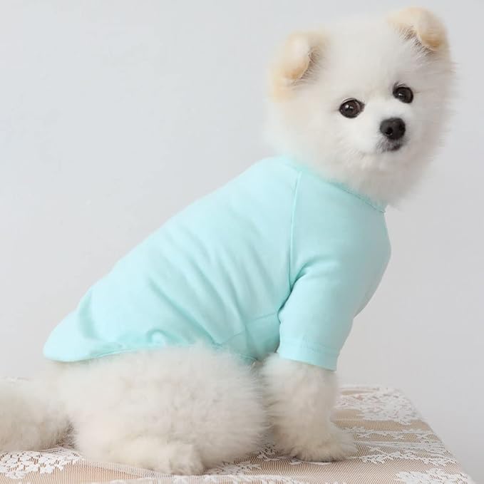 Dog Shirt for Small Dogs Plain T-Shirts Soft Breathable Dog Cotton Shirt pet Clothes (Medium, Mint)