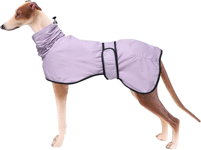 Dog Raincoat with Reflective Bar, Rain/Water Resistant, Adjustable Vest - Dog Raincoats for Greyhounds, Lurchers and Whippets - Purple - S