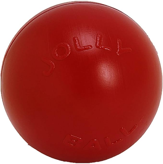 Jolly Pets Push-n-Play Ball Dog Toy, 10 Inches/Large, Purple