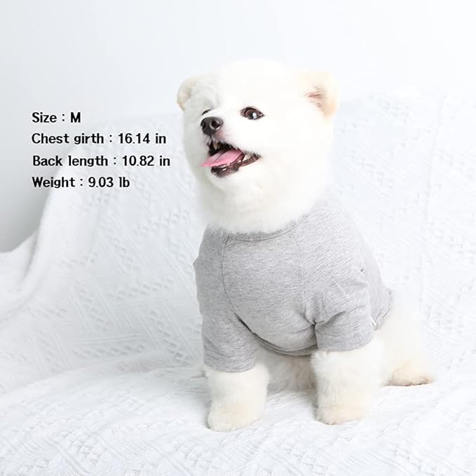 Dog Shirt for Small Dogs Plain T-Shirts Soft Breathable Dog Cotton Shirt pet Clothes (Small, Gray)