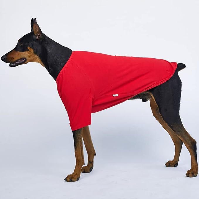Dog Shirt for Small Dogs Plain T-Shirts Soft Breathable Dog Cotton Shirt pet Clothes (X-Large, Red)