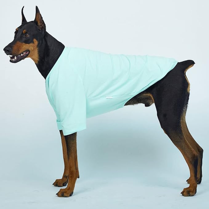 Dog Shirt for Small Dogs Plain T-Shirts Soft Breathable Dog Cotton Shirt pet Clothes (5X-Large, Mint)