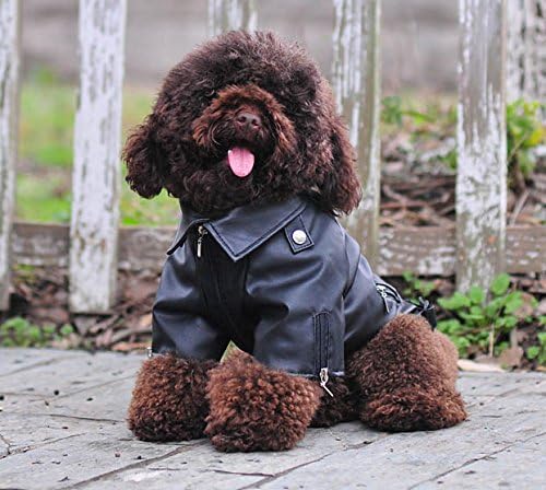 Lovelonglong Cool Dog Leather Jacket, Warm Coats Dogs Windproof Cold Weather Coats for Large Medium Small Dogs, Toy Poodle Clothing Black XS