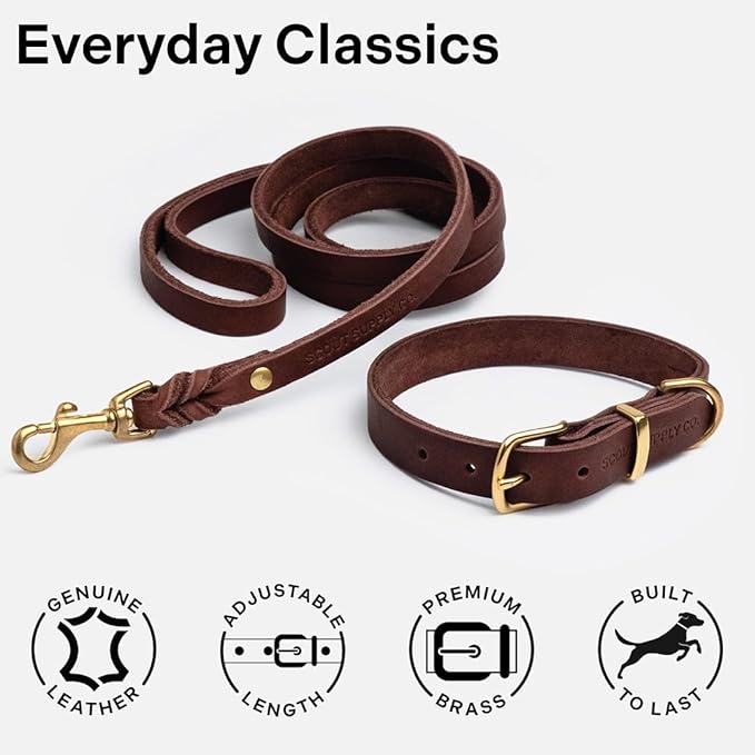 Classic Genuine Leather Dog Collar | Dog Collars for Medium Dogs, Small Dogs, Large Dogs & Extra Large Dog | Wide Dog Collar | Heavy Duty Dog Collar | Dark Brown (M: 0.8" Wide for 13.5"-16" Neck)