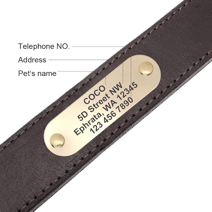 Didog Genuine Leather Dog Collars with Engraved Nameplate, Personalized Soft Leather Dog Collar with Custom ID Tag, Brown/Green/Red for Medium Large Dogs (XL,Brown)