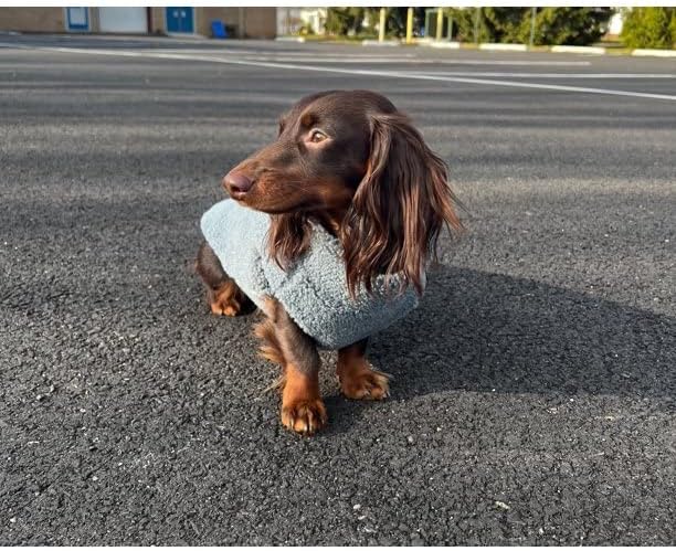 Gooby Sherpa Vest - Stone Blue, Large - Warm Fuzzy Fleece Step in Dog Jacket Without Ring Leash - Winter Small Dog Sweater - for Everyday Use