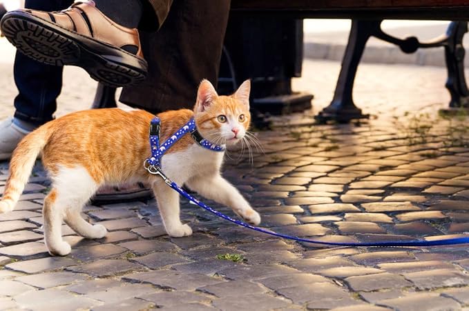 Cat Harness and Leash Set Gold Moons Soft Nylon Escape Proof Adjustable for Kittens Small Animals Glow in The Dark(Blue)