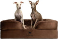 NOAH & PAW Large Dog Bed, 35x25x11 Inch, Orthopedic Dog Beds, Eggshell Memory Foam Infused with Cooling Gel, Inner Cover, Waterproof, Machine Washable (Velvet Sofa Collection)