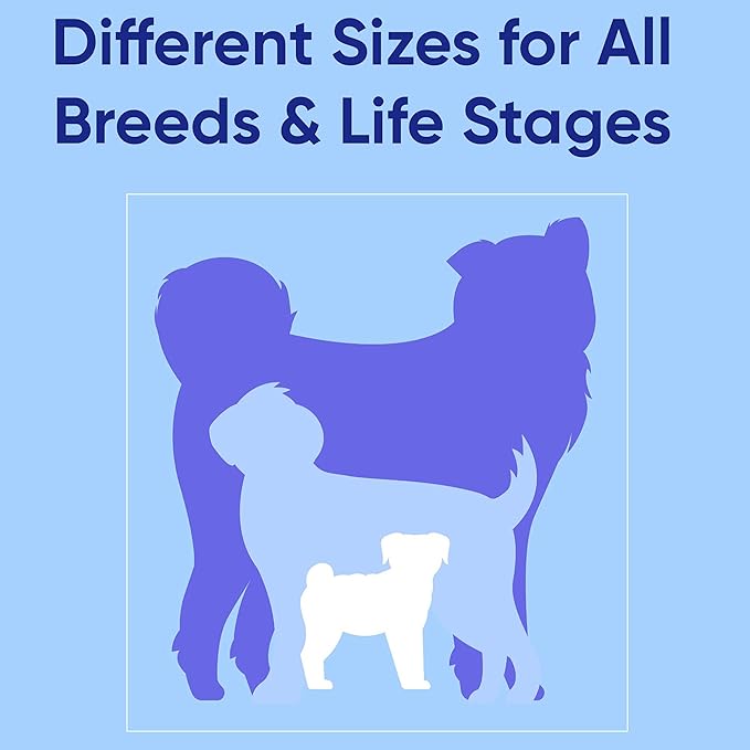 Pawtitas 6 FT Solid Lush Green Leash for Puppy Training - Extra Small to Small Dog Leash