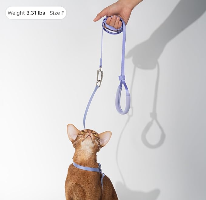 Cat Harness and Leash Set, Lightweight Escape Proof Cat Harness Leash with Padded Handle, Adjustable Cat Leash and Harness for Kitten Small Large Cats Walking Training (Blurple, M)
